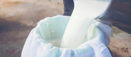 3 Incredible Benefits of Full-Fat Dairy