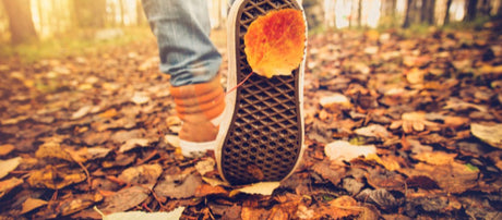 5 Fun, Healthy Ways to Make the Most of The Crisp Fall Days